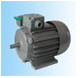 盟利電機(jī) YY系列單相電容運(yùn)轉(zhuǎn)異步電動機(jī)