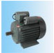 盟利電機(jī) YL系列雙值電容異步電動機(jī)