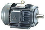 東元 低壓三相感應(yīng)電動(dòng)機(jī)（代理）