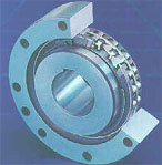 瑞班 RINGSPANN逆止器