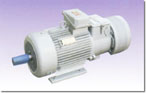 宏泰 YZRW系列 異步電動機(jī)