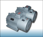 宏泰 YZB（F）變頻系列異步電動機