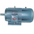 大中電機(jī) YEJ系列異步電動(dòng)機(jī)
