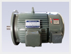 北辰 YLJ系列力矩三相異步電動機