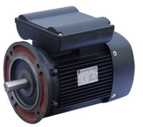 三威 YL系列異步電動機(jī)