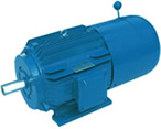 太越 YVP2系列變頻調(diào)速三相異步電動(dòng)機(jī)