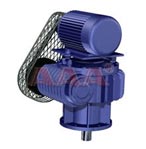 長(zhǎng)城 W型圓弧齒圓柱蝸桿減速機(jī)