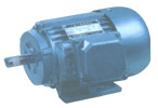 通用電機 YLJW系列力矩三相異步電動機