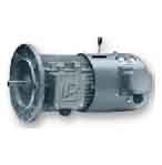 華星 電動機(jī)