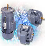 愛德利 三相感應(yīng)馬達(dá)