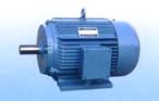 永發(fā)機(jī)電 YD系列（IP44）變極多速三相異步電動(dòng)機(jī)