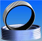 首科凱奇 力矩電機(jī)