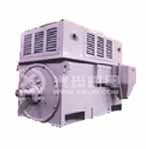 興瑪 6KV高壓三相異步電動(dòng)機(jī)