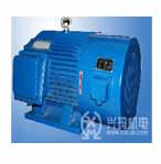 興瑪 YJTG系列變頻調(diào)速三相異步電動(dòng)機(jī)