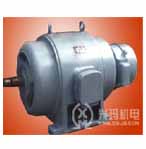 興瑪 JS/JR系列三相異步電動(dòng)機(jī)