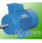 興瑪 YLY系列糧油機械三相異步電動機