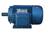 豐泰 Y系列（IP44）三相異步電動機
