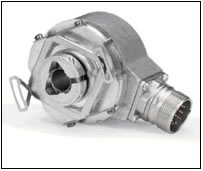 1/200801151141404694