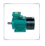 德驅(qū)馳UABP系列三相通用變頻調(diào)速電機(jī)