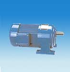 永力 臥式齒輪馬達(dá)