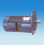 永力 立式齒輪馬達(dá)