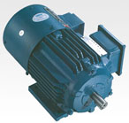 三和 YVF系列變頻調(diào)速電動(dòng)機(jī)