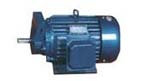 新鄉(xiāng)市精通 YT2系列變流調速三相異步電動機