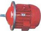 精通  ZDS錐形轉(zhuǎn)子起重用雙速電動機
