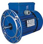 臺(tái)州清華 YC系列單相電容啟動(dòng)電機(jī)