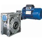 臺州清華 DRW系列雙聯(lián)體蝸桿減速機