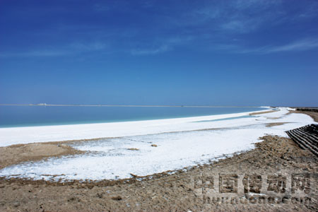 西門(mén)子媒體行-西南