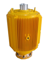 德驅(qū)馳 油田用螺桿泵直驅(qū)電動(dòng)機(jī)