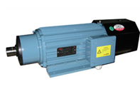 德驅(qū)馳 UAMT-4立鉆電機