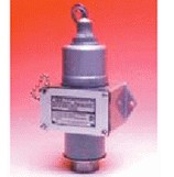 豐氏自動(dòng)化 CCS壓力開關(guān)