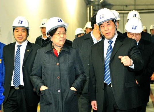 曹培璽陪同全國人大副委員長陳至立到華能北京熱電廠調(diào)研