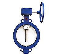 美國泰克進口蝸輪蝶閥