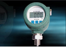 華夏安易 RS485型壓力變送器