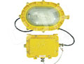 金牌電器 J-BFE8120內(nèi)場防爆應(yīng)急燈