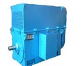臥龍電氣 YKK、YKS系列中型高壓三相異步電動(dòng)機(jī)