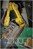 機(jī)器人包裝土豆，可靠靈活十年如一日