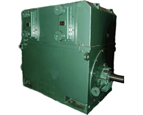 雙龍集團 YAKS系列高壓增安型三相異步電動機（H355～710）