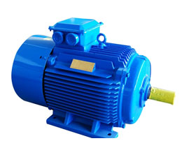 三碁電氣 THSM系列變頻高速永磁同步電機(jī)