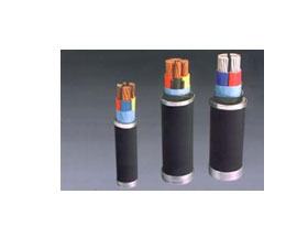 天彩康拓 聚氯乙烯絕緣聚氯乙烯護(hù)套電力電纜