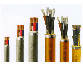 天彩康拓 耐高溫防火電纜