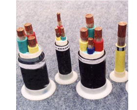 天彩康拓 F46耐高溫耐油特種電纜