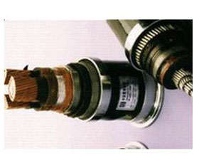 天彩康拓 變頻電纜