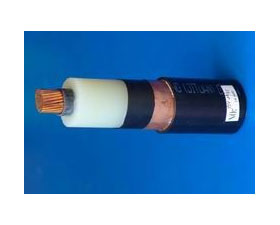 天彩康拓 交聯(lián)電力電纜