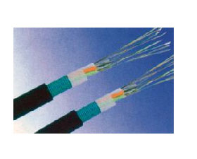 天彩康拓 交聯(lián)聚乙烯絕緣電力電纜 