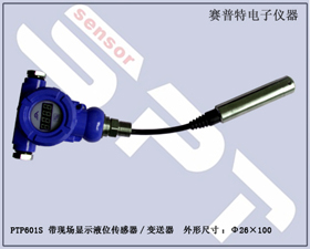 賽普特電子 PTP601S帶現(xiàn)場顯示投入式液位傳感器 