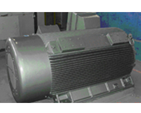 雙龍集團(tuán) Y2系列低壓大功率三相異步電動(dòng)機(jī)